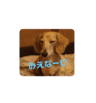 mugimugi217（個別スタンプ：3）