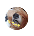 mugimugi217（個別スタンプ：5）