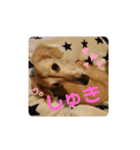 mugimugi217（個別スタンプ：6）