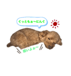 くぅだぉ（個別スタンプ：4）