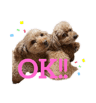 くぅだぉ（個別スタンプ：8）