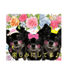 そらチワワちゃんスタンプ①（個別スタンプ：16）