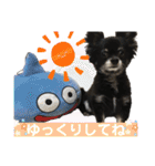 そらチワワちゃんスタンプ①（個別スタンプ：33）