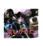 そらチワワちゃんスタンプ①（個別スタンプ：35）