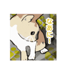 アンちゃんの日々（個別スタンプ：5）