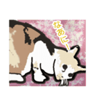 アンちゃんの日々（個別スタンプ：8）