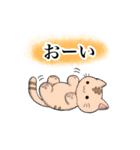 お茶っ葉帝国10周年記念スタンプ（個別スタンプ：21）
