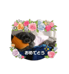 チョコ＆マメ 2（個別スタンプ：5）