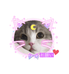 らん丸スタンプ❤︎（個別スタンプ：1）