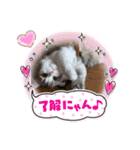らん丸スタンプ❤︎（個別スタンプ：6）