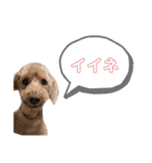 BBさん（個別スタンプ：6）