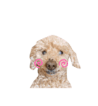 BBさん（個別スタンプ：15）