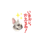 フレブルのマイル よく使うスタンプ♪（個別スタンプ：5）