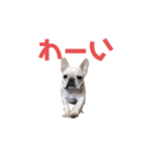 フレブルのマイル よく使うスタンプ♪（個別スタンプ：8）