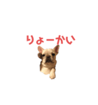 フレブルのマイル よく使うスタンプ♪（個別スタンプ：9）