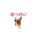 フレブルのマイル よく使うスタンプ♪（個別スタンプ：10）