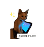 犬＆猫 (dog＆cat)（個別スタンプ：5）