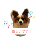 犬＆猫 (dog＆cat)（個別スタンプ：23）