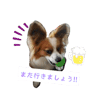 犬＆猫 (dog＆cat)（個別スタンプ：24）