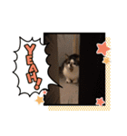 サンデーくん（個別スタンプ：4）