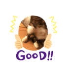 サンデーくん（個別スタンプ：8）