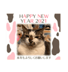 サンデーくん（個別スタンプ：10）