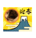 サンデーくん（個別スタンプ：12）