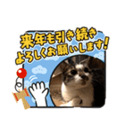 サンデーくん（個別スタンプ：15）