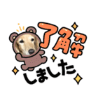 チャピーのつぶやき（個別スタンプ：8）