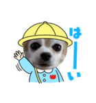 ユメの毎日スタンプ4（個別スタンプ：4）