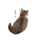 猫のユパ  ミラルダ（個別スタンプ：6）