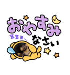 v全員集合v（個別スタンプ：3）