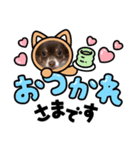 v全員集合v（個別スタンプ：6）