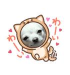 v全員集合v（個別スタンプ：8）