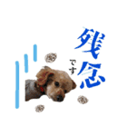 岩田家familyの日常（個別スタンプ：5）