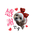 岩田家familyの日常（個別スタンプ：6）