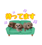 岩田家familyの日常（個別スタンプ：7）