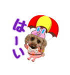 岩田家familyの日常（個別スタンプ：8）