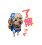 岩田家familyの日常（個別スタンプ：15）