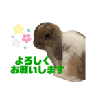 この世で1番可愛いちくわ（個別スタンプ：5）