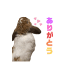 この世で1番可愛いちくわ（個別スタンプ：6）