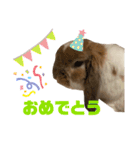 この世で1番可愛いちくわ（個別スタンプ：7）