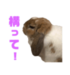 この世で1番可愛いちくわ（個別スタンプ：11）