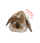 この世で1番可愛いちくわ（個別スタンプ：15）