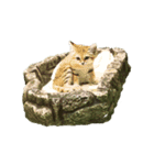 愛くるしい動物たち（個別スタンプ：2）