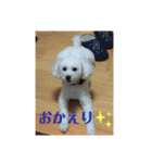 Nわんこ（個別スタンプ：3）