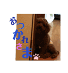 Nわんこ（個別スタンプ：4）