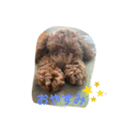 Nわんこ（個別スタンプ：5）