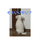 Nわんこ（個別スタンプ：10）