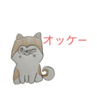 村柴⭐︎Murasiba⭐︎スタンプ第1弾（個別スタンプ：4）